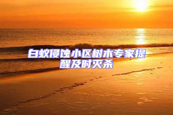 白蟻侵蝕小區(qū)樹木專家提醒及時(shí)滅殺