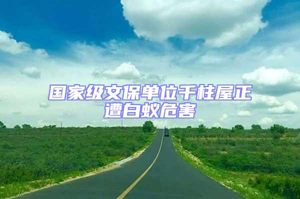 國家級文保單位千柱屋正遭白蟻危害
