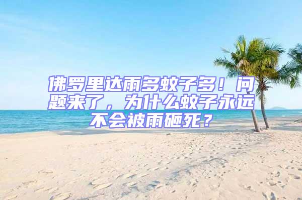 佛羅里達雨多蚊子多！問題來了，為什么蚊子永遠不會被雨砸死？
