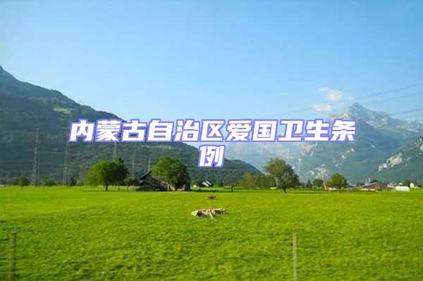 內蒙古自治區愛國衛生條例