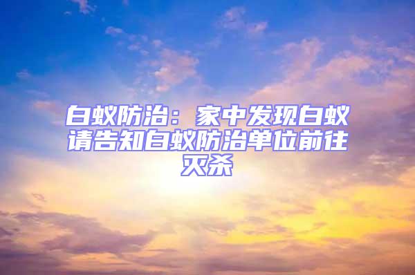 白蟻防治：家中發現白蟻請告知白蟻防治單位前往滅殺
