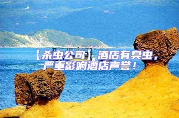 【殺蟲公司】酒店有臭蟲，嚴重影響酒店聲譽！