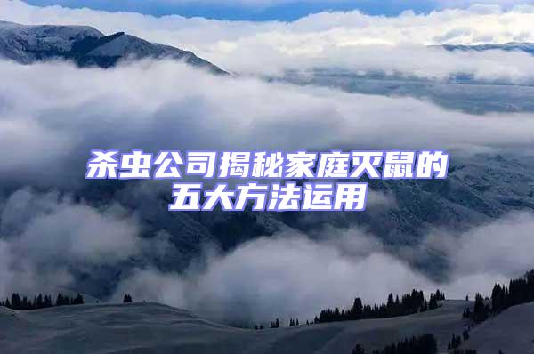 殺蟲公司揭秘家庭滅鼠的五大方法運用