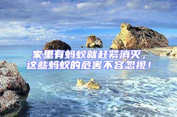 家里有螞蟻就趕緊消滅，這些螞蟻的危害不容忽視！