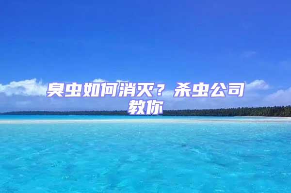 臭蟲如何消滅？殺蟲公司教你