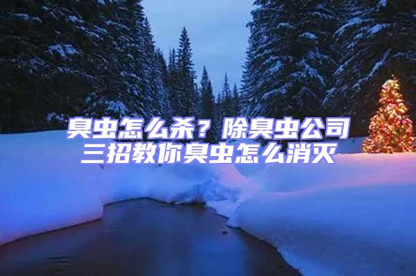 臭蟲怎么殺？除臭蟲公司三招教你臭蟲怎么消滅