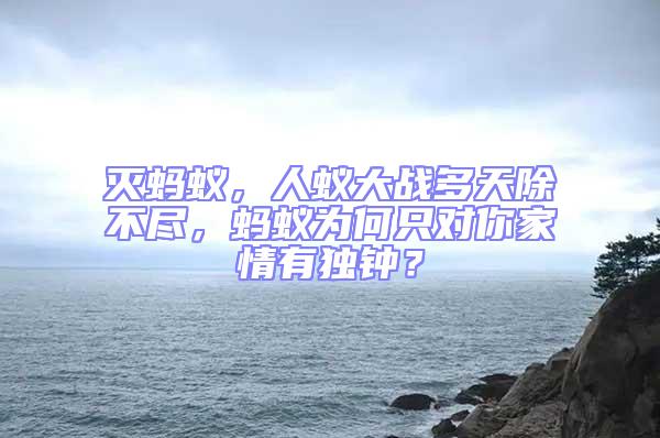 滅螞蟻，人蟻大戰多天除不盡，螞蟻為何只對你家情有獨鐘？
