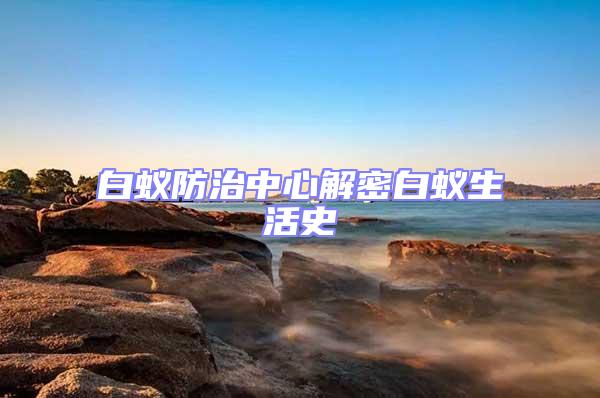 白蟻防治中心解密白蟻生活史