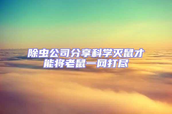 除蟲公司分享科學滅鼠才能將老鼠一網打盡