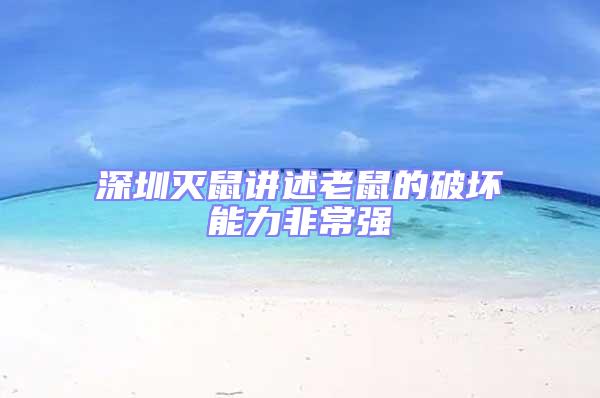 深圳滅鼠講述老鼠的破壞能力非常強