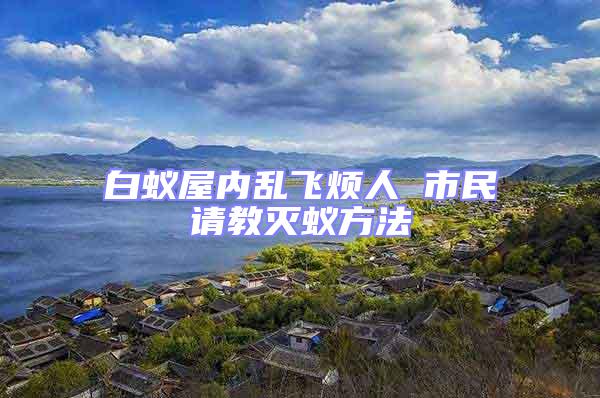 白蟻屋內(nèi)亂飛煩人 市民請(qǐng)教滅蟻方法