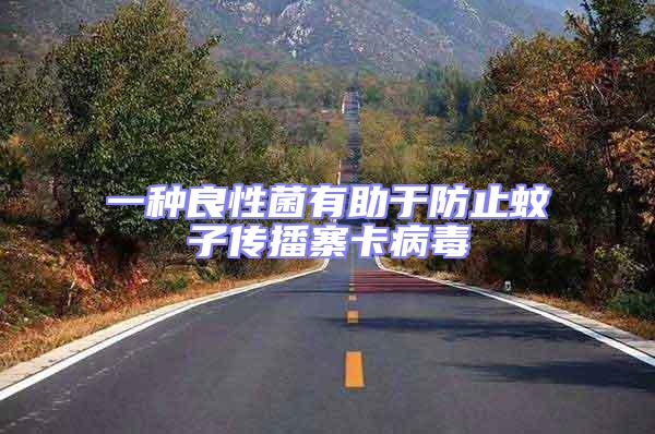 一種良性菌有助于防止蚊子傳播寨卡病毒
