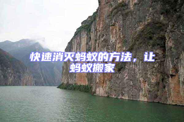 快速消滅螞蟻的方法，讓螞蟻搬家