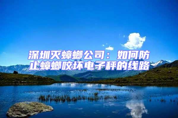 深圳滅蟑螂公司：如何防止蟑螂咬壞電子秤的線路