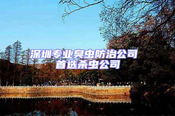 深圳專業臭蟲防治公司 首選殺蟲公司