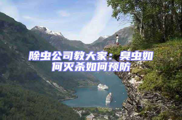 除蟲公司教大家：臭蟲如何滅殺如何預防