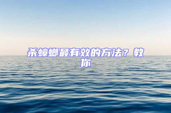 殺蟑螂最有效的方法？教你