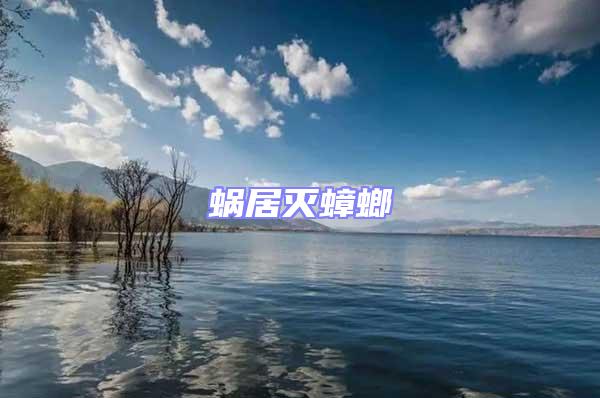 蝸居滅蟑螂