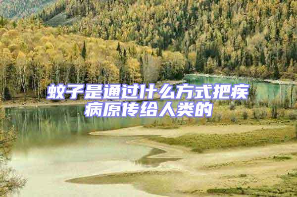 蚊子是通過什么方式把疾病原傳給人類的