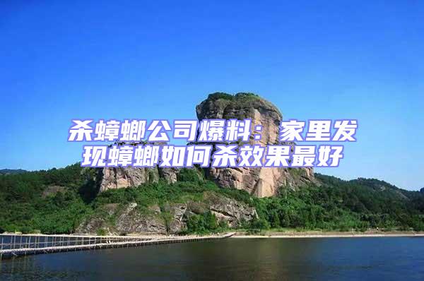 殺蟑螂公司爆料：家里發現蟑螂如何殺效果最好