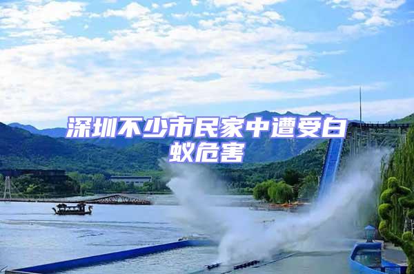 深圳不少市民家中遭受白蟻危害