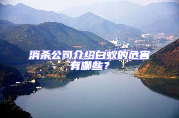 消殺公司介紹白蟻的危害有哪些？