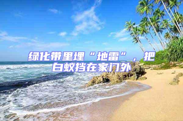 綠化帶里埋“地雷”，把白蟻擋在家門外