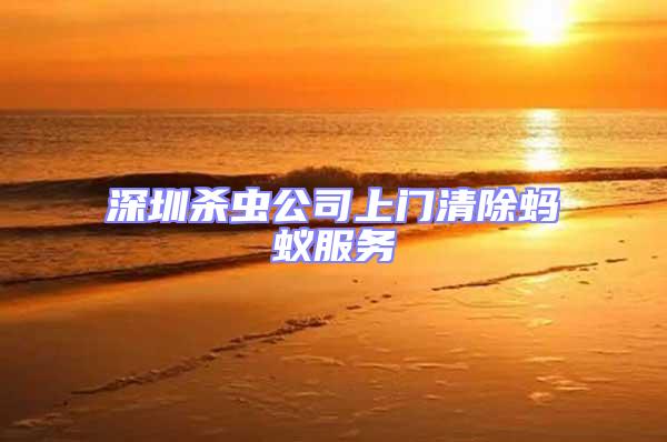 深圳殺蟲公司上門清除螞蟻服務
