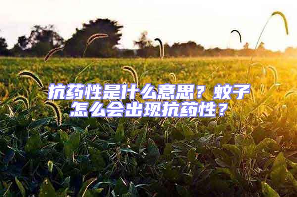 抗藥性是什么意思？蚊子怎么會出現抗藥性？