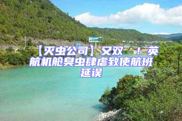 【滅蟲公司】又雙叒叕！英航機艙臭蟲肆虐致使航班延誤