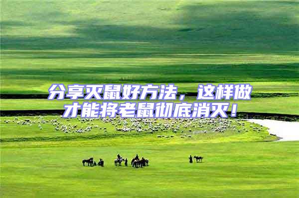 分享滅鼠好方法，這樣做才能將老鼠徹底消滅！