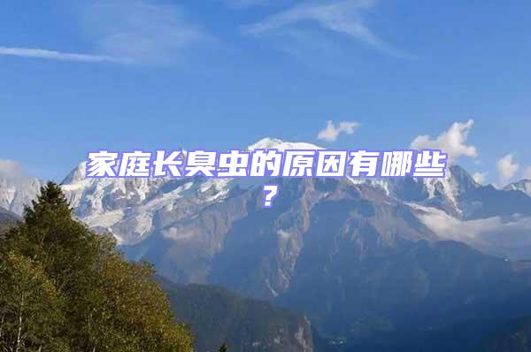家庭長臭蟲的原因有哪些？