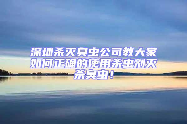 深圳殺滅臭蟲公司教大家如何正確的使用殺蟲劑滅殺臭蟲！