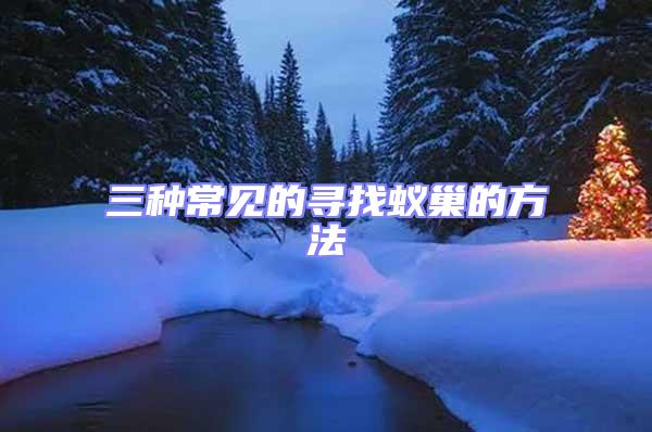 三種常見的尋找蟻巢的方法