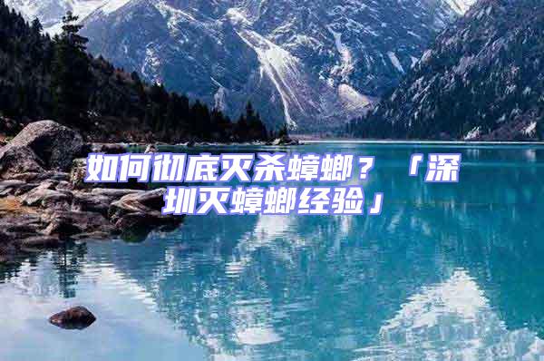 如何徹底滅殺蟑螂？「深圳滅蟑螂經驗」