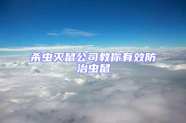 殺蟲滅鼠公司教你有效防治蟲鼠