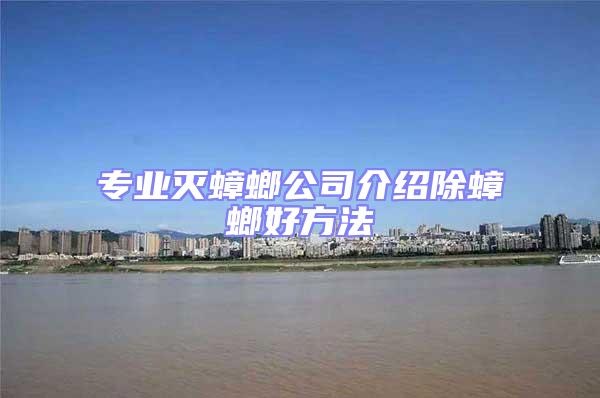 專業滅蟑螂公司介紹除蟑螂好方法