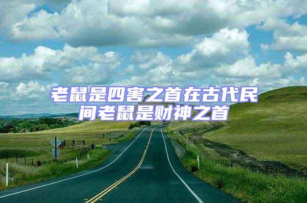 老鼠是四害之首在古代民間老鼠是財神之首