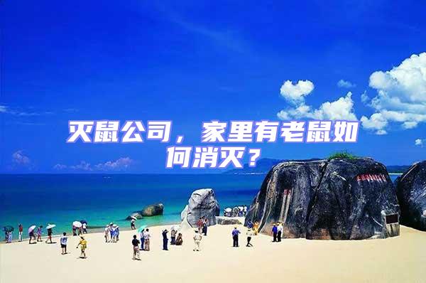 滅鼠公司，家里有老鼠如何消滅？