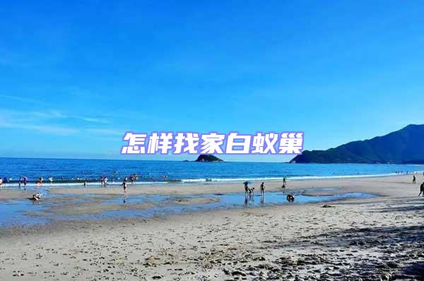 怎樣找家白蟻巢