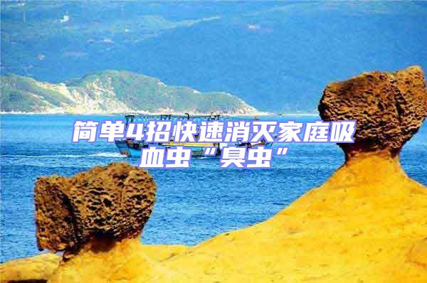 簡單4招快速消滅家庭吸血蟲“臭蟲”