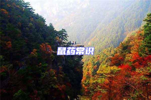 鼠藥常識