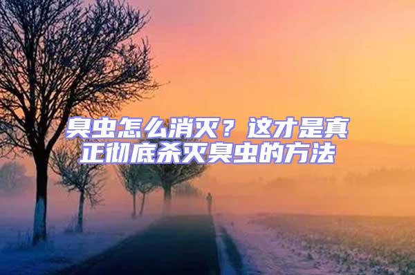 臭蟲怎么消滅？這才是真正徹底殺滅臭蟲的方法