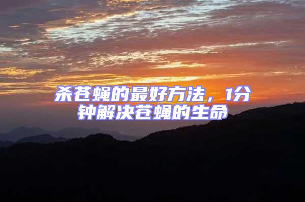 殺蒼蠅的最好方法，1分鐘解決蒼蠅的生命