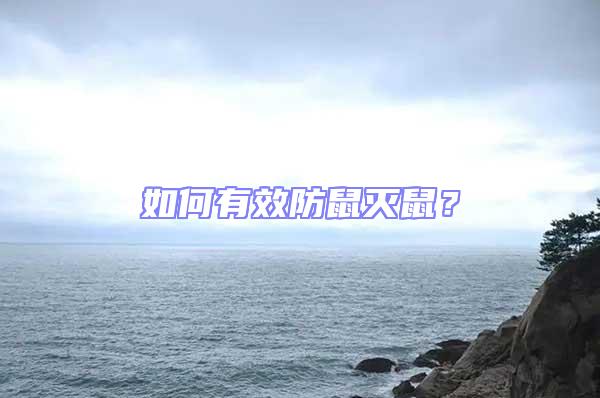 如何有效防鼠滅鼠？