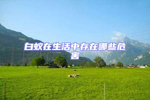 白蟻在生活中存在哪些危害