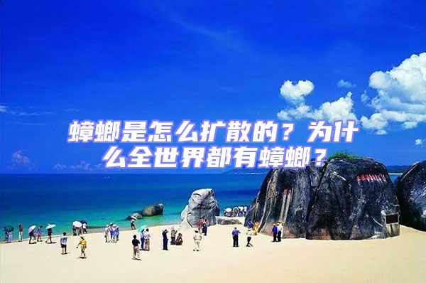 蟑螂是怎么擴散的？為什么全世界都有蟑螂？