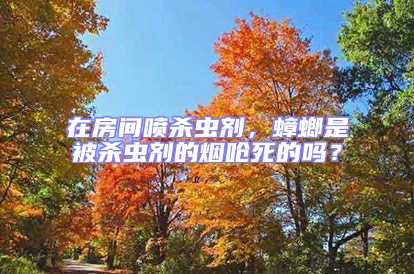 在房間噴殺蟲劑，蟑螂是被殺蟲劑的煙嗆死的嗎？