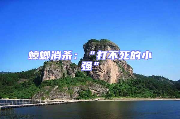 蟑螂消殺：“打不死的小強(qiáng)”