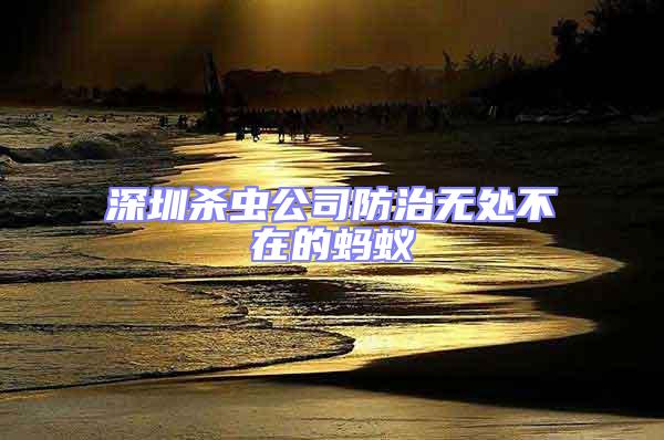 深圳殺蟲公司防治無處不在的螞蟻